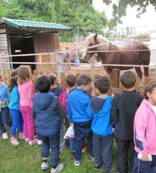 Grupo escolar durante las actividades de campo en la huerta de la alquería