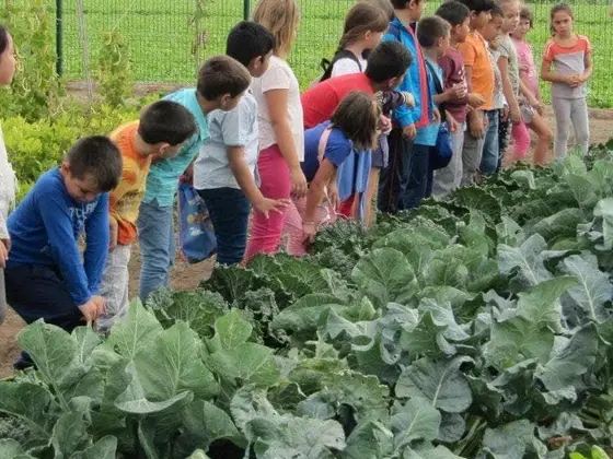 Grupo escolar durante las actividades de campo en la huerta de la alquería