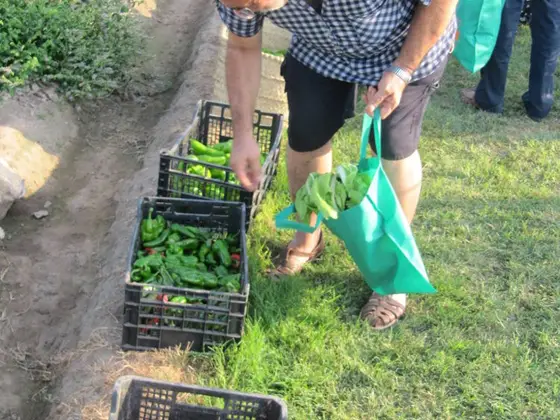 Grupo escolar durante las actividades de campo en la huerta de la alquería