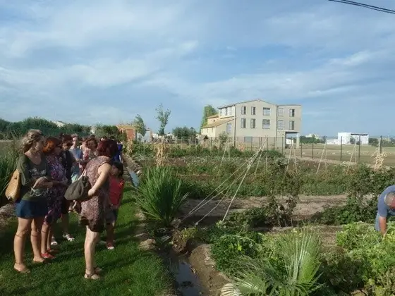 Jornada de puertas abiertas para centros escolares – 4