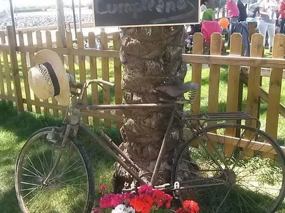 Fiesta de cumpleaños en la alquería – 6