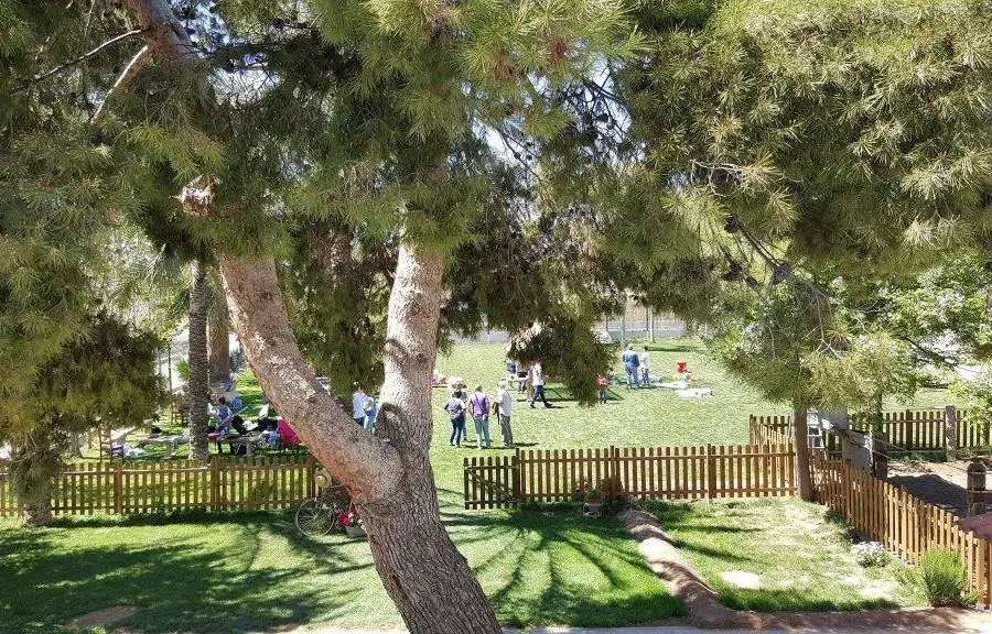 Fiesta de cumpleaños en la alquería – 1