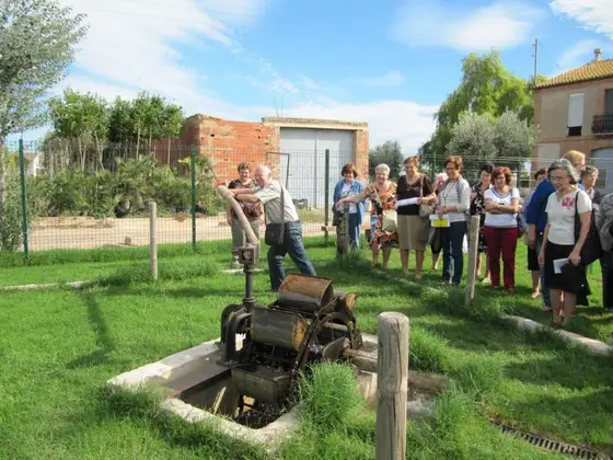 Visita de la Escuela de Adultos de Alboraya – 3
