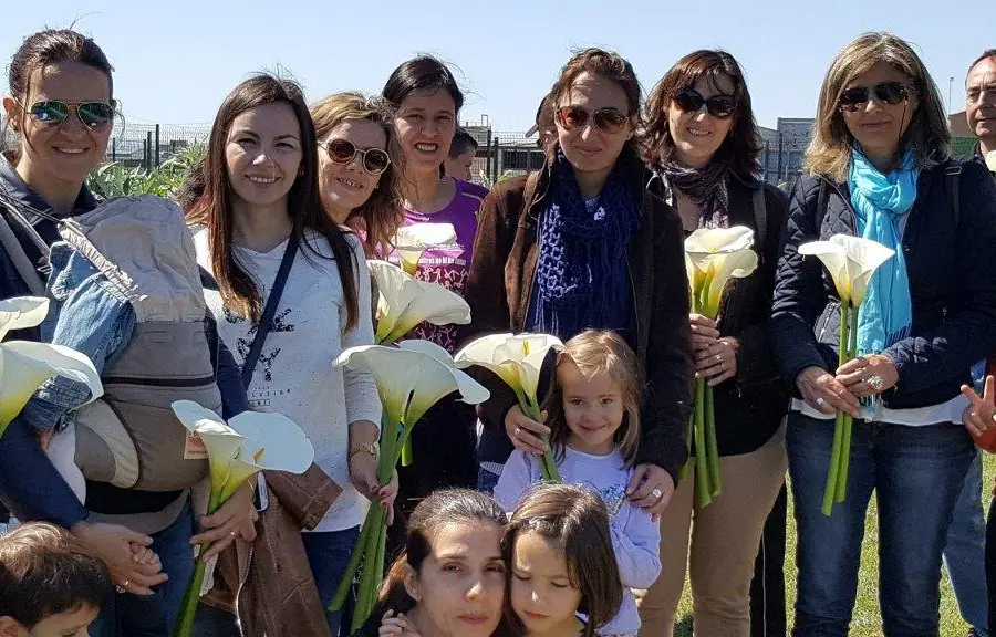 Asociaciones y empresas en la alquería – 1