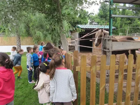 Visita de 1º del colegio Nou d’Octubre – 3