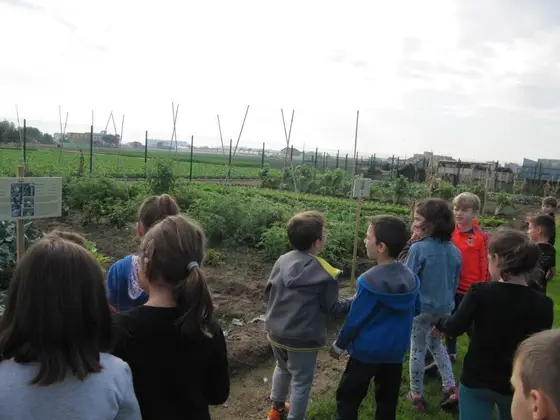 Visita de 1º del colegio Nou d’Octubre – 7