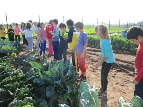 Visita de 6º del colegio Nou d’Octubre: tiempo de chufa – 9