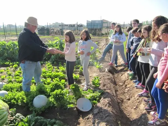 Visita de 6º del colegio Nou d’Octubre: tiempo de chufa – 2