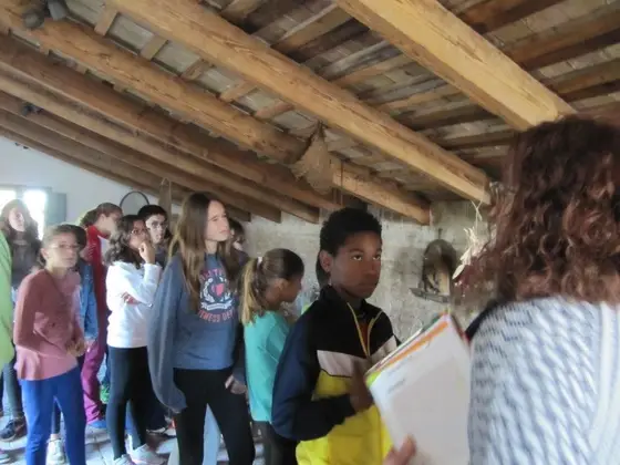Visita de 6º del colegio Nou d’Octubre: tiempo de chufa – 5