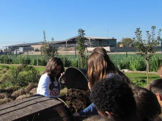 Visita de 6º del colegio Nou d’Octubre: tiempo de chufa – 8