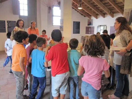 Visita de 2º de Primaria del colegio 9 d’Octubre – 6