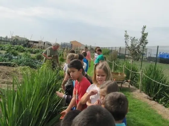 Visita de 2º de Primaria del colegio 9 d’Octubre – 2
