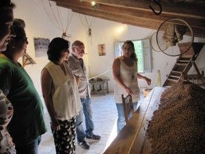Evento de inauguración Alquería María LListar Planta I Cull