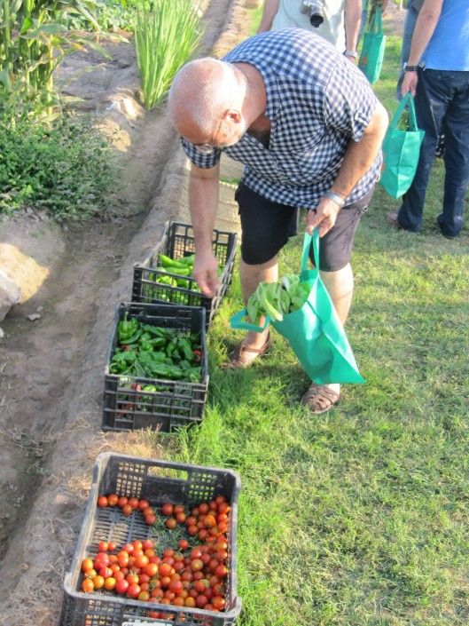 Evento de inauguración Alquería María LListar Planta I Cull