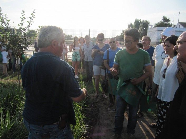 Evento de inauguración Alquería María LListar Planta I Cull