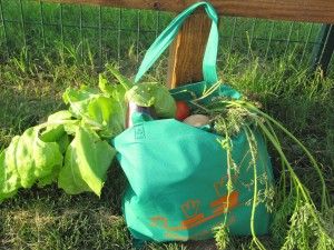 Alquería María LListar Planta I Cull