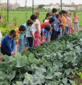 Grupos Escolares en Actividades de Campo