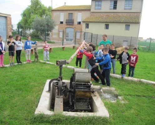 Grupos Escolares en Actividades de Campo