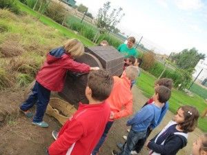 Grupos Escolares en Actividades de Campo