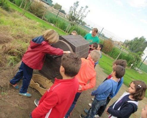 Grupos Escolares en Actividades de Campo