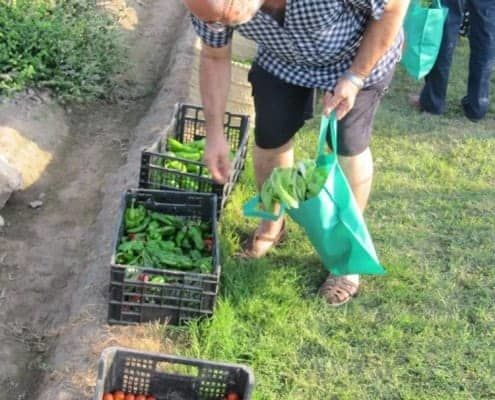 Actividades de Campo en la Alqueria