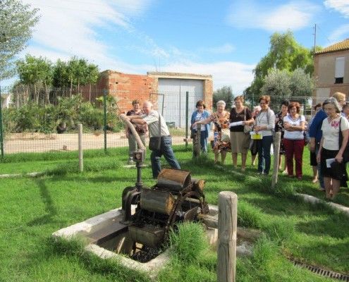 visita grupo adultos a Alquería María LListar Planta I Cull