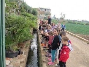 visita colegio 9 octubre