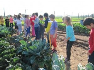 visita colegio 9 octubre a alqueria