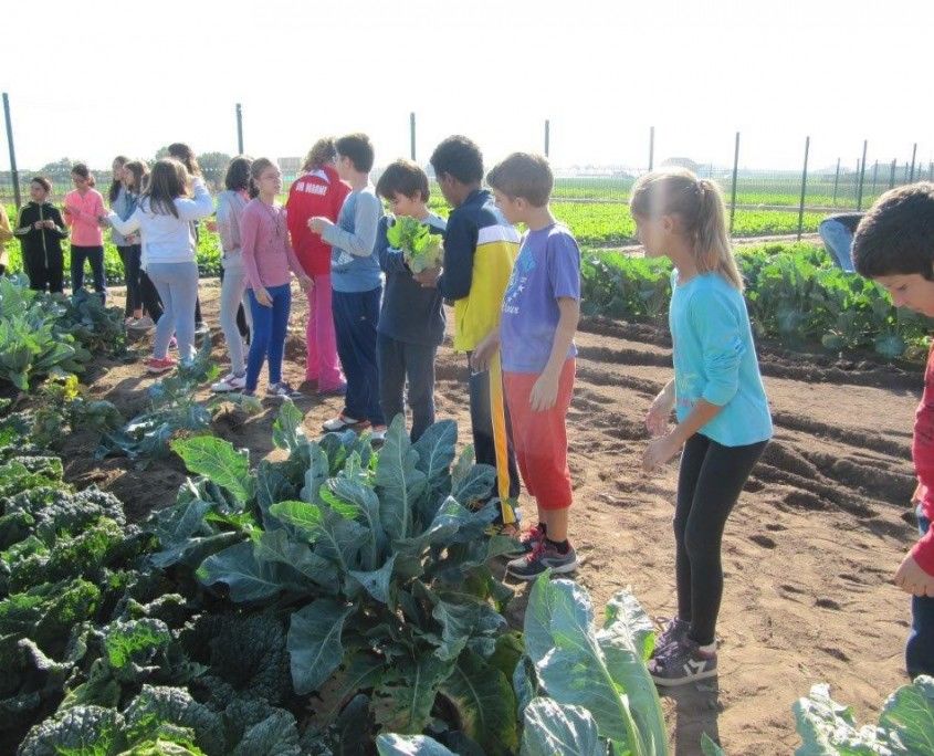 visita colegio 9 octubre a alqueria