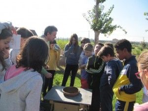 visita colegio 9 octubre a alqueria