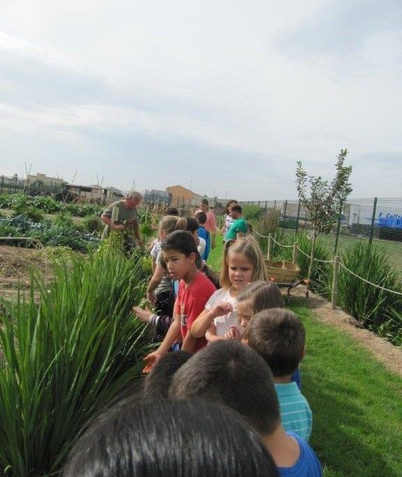 visita colegio 9 octubre